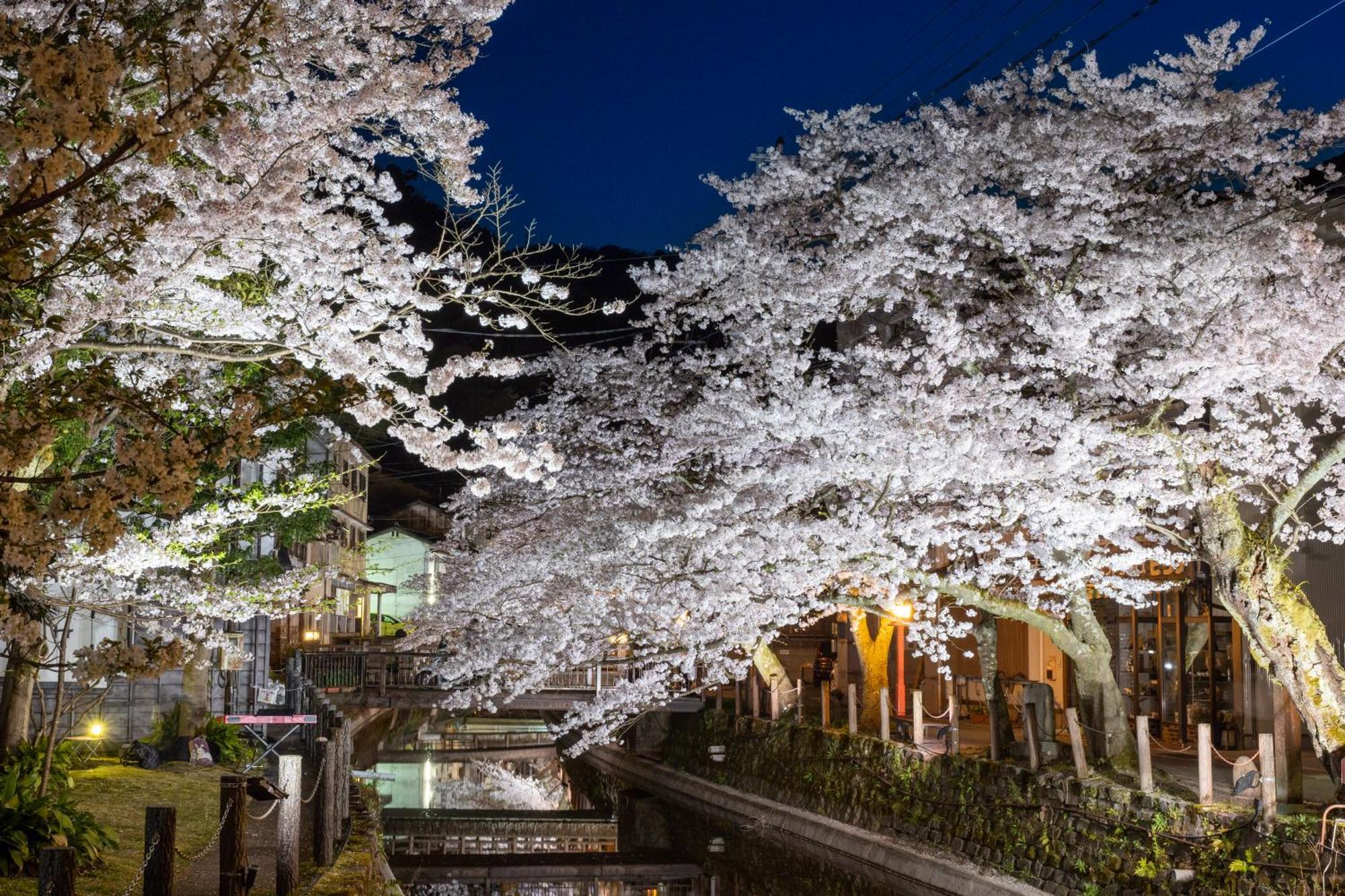 Hotel Mikuniya à Toyooka  Extérieur photo