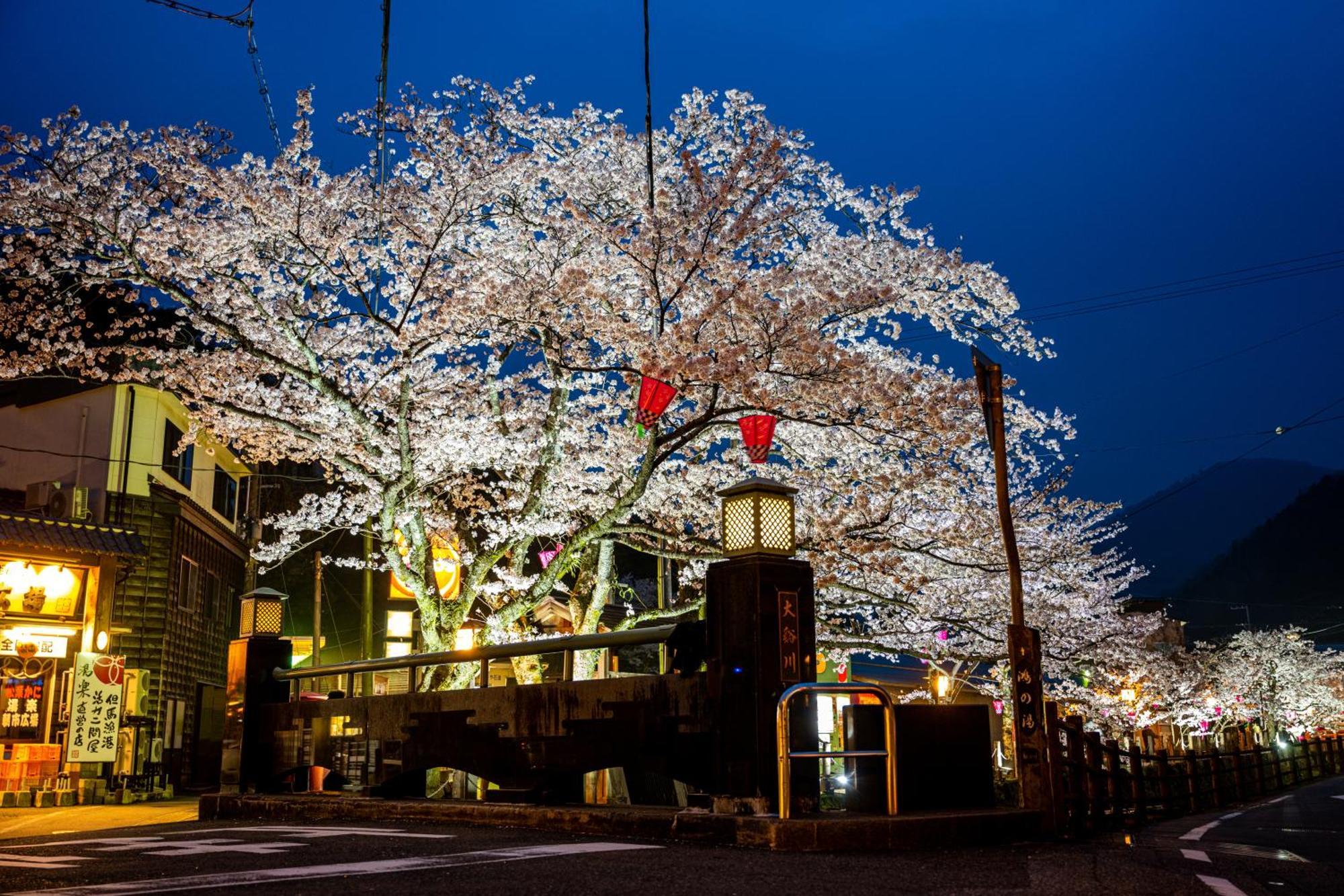 Hotel Mikuniya à Toyooka  Extérieur photo